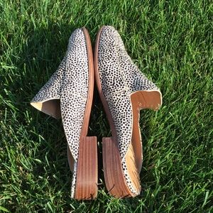 the frances loafer mule in spotted calf hair